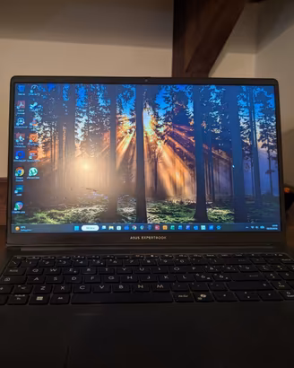 Asus Expertbook BM1503CDA - Leggere bene
