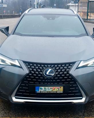 Da privato Lexus UX 250 h Awd