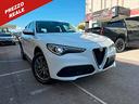 alfa-romeo-stelvio-2-2-turbodiesel-160-cv-at8-rwd