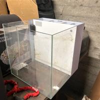 Aquario acqua salata