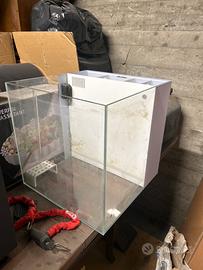 Aquario acqua salata