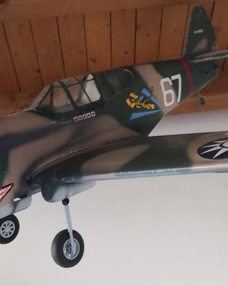 aeromodello P40 Warhawk 