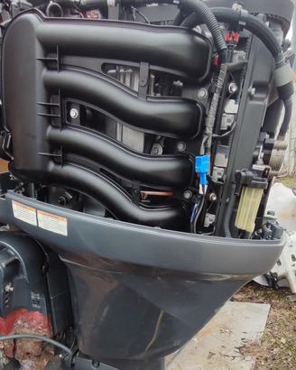 Yamaha F100 EFI Blocco motore Ricambio