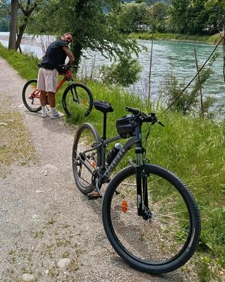 Mountain bike