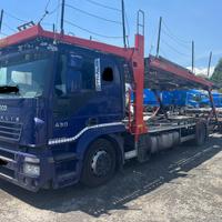 Bisarca Rolfo Pegasus