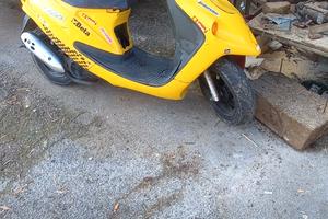 O C  C  A  S  I O N E 