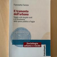 Saggio Universitario “Il tramonto dell’urbano”