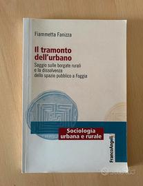 Saggio Universitario “Il tramonto dell’urbano”