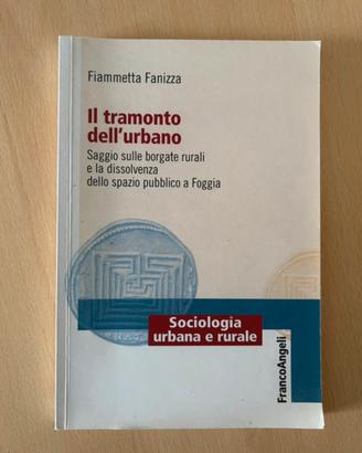 Saggio Universitario “Il tramonto dell’urbano”