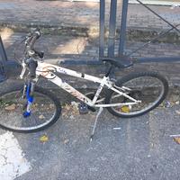 mountain bike 