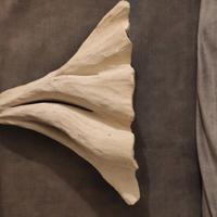 applique in pietra Leccese 