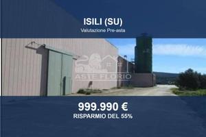 Immobile in asta di 15884 m² a Isili