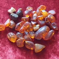 Ambra naturale del Baltico , 10 pezzi 