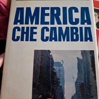 America Che Cambia di Mauro Lucentini (Autore) Riz