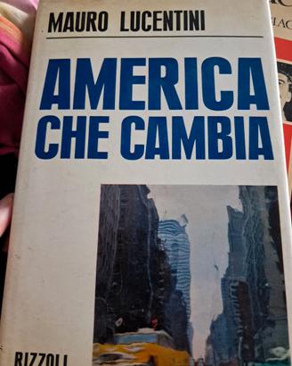 America Che Cambia di Mauro Lucentini (Autore) Riz