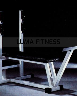 Panca piana professionale -Technogym Deluxe-