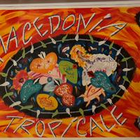 Bruno Donzelli, Macedonia Tropicale