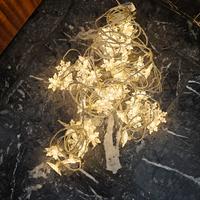 Luci natalizie a tenda