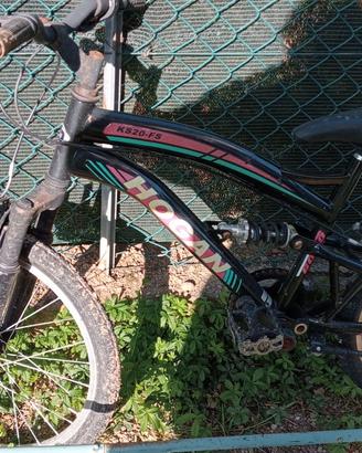bicicletta 