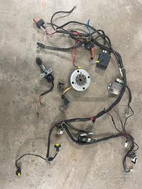 Impianto elettrico Aprilia Sr factory 2