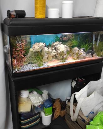 acquario completo 