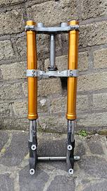 Forcella tmax 560 