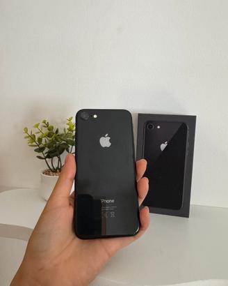 Iphone 8