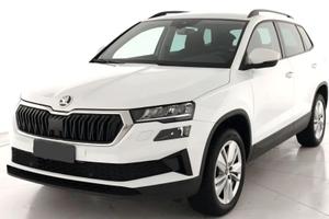 Skoda Karoq 2.0 TDI EVO 116CV EXECUTIVE
