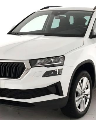 Skoda Karoq 2.0 TDI EVO 116CV EXECUTIVE