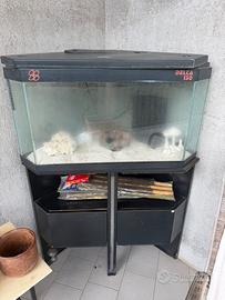 Acquario con mobile angolare