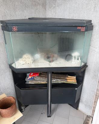Acquario con mobile angolare