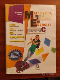 Matematica Teoria Esercizi Geometria C