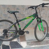 bicicletta VERTEK