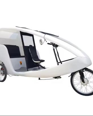 Velocipede elettrico Trasporto Turistico