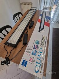 plafoniera neon t5 acquario 