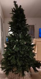 Albero di natale