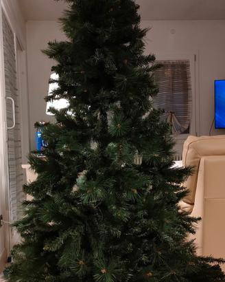 Albero di natale