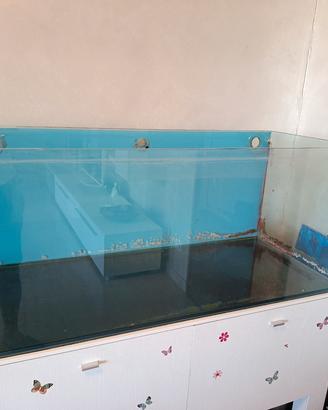 acquario marino