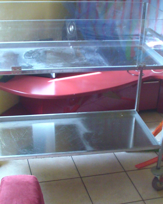 CARRELLO ACCIAIO con sponde