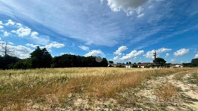 TER. AGRICOLO A FORLÌ
