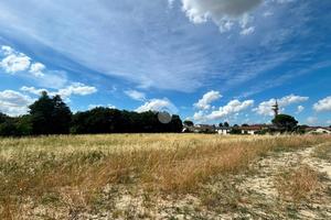 TER. AGRICOLO A FORLÌ