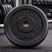 Dischi 2 in ghisa da 40 kg ideale per manubri!