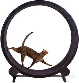 Tapis Roulant per Gatto Animali da Corsa