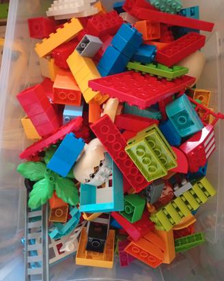 duplo 