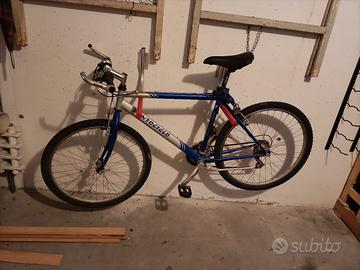 bicicletta 