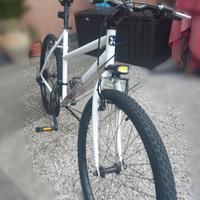 bici MTB 