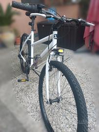 bici MTB 