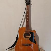 Chitarra acustica Eko DW