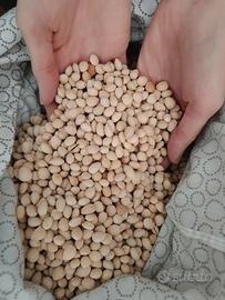 Sacco di noccioli di ciliegie 