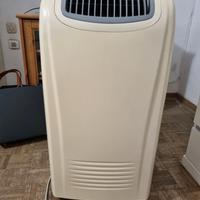 condizionatore pinguino